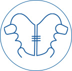 Dental Plates Dental Plates